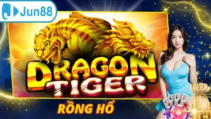 Rồng Hổ